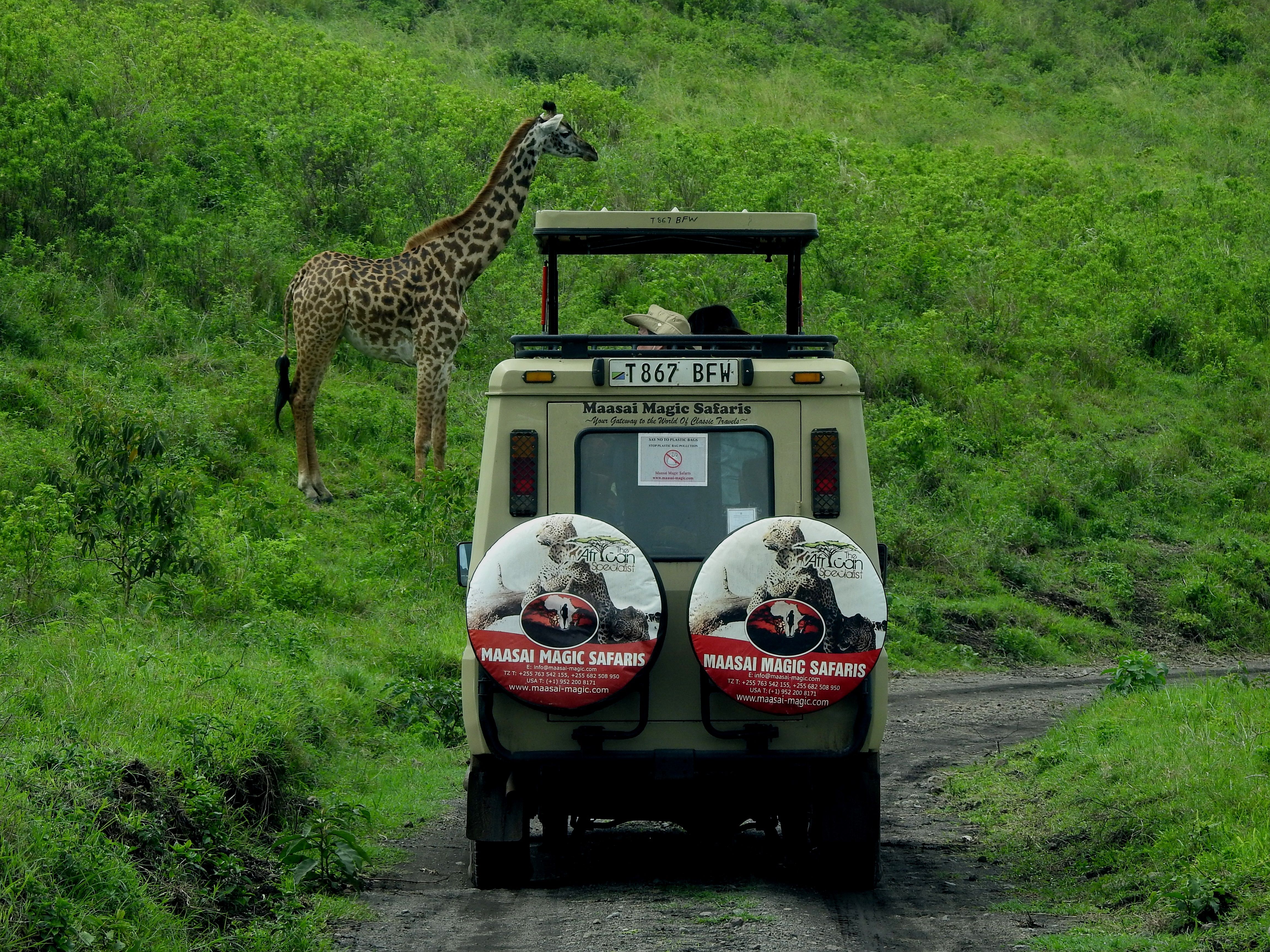Luxury African Safaris (Kenya, Tanzania, Botswana, Rwanda, South Africa)
