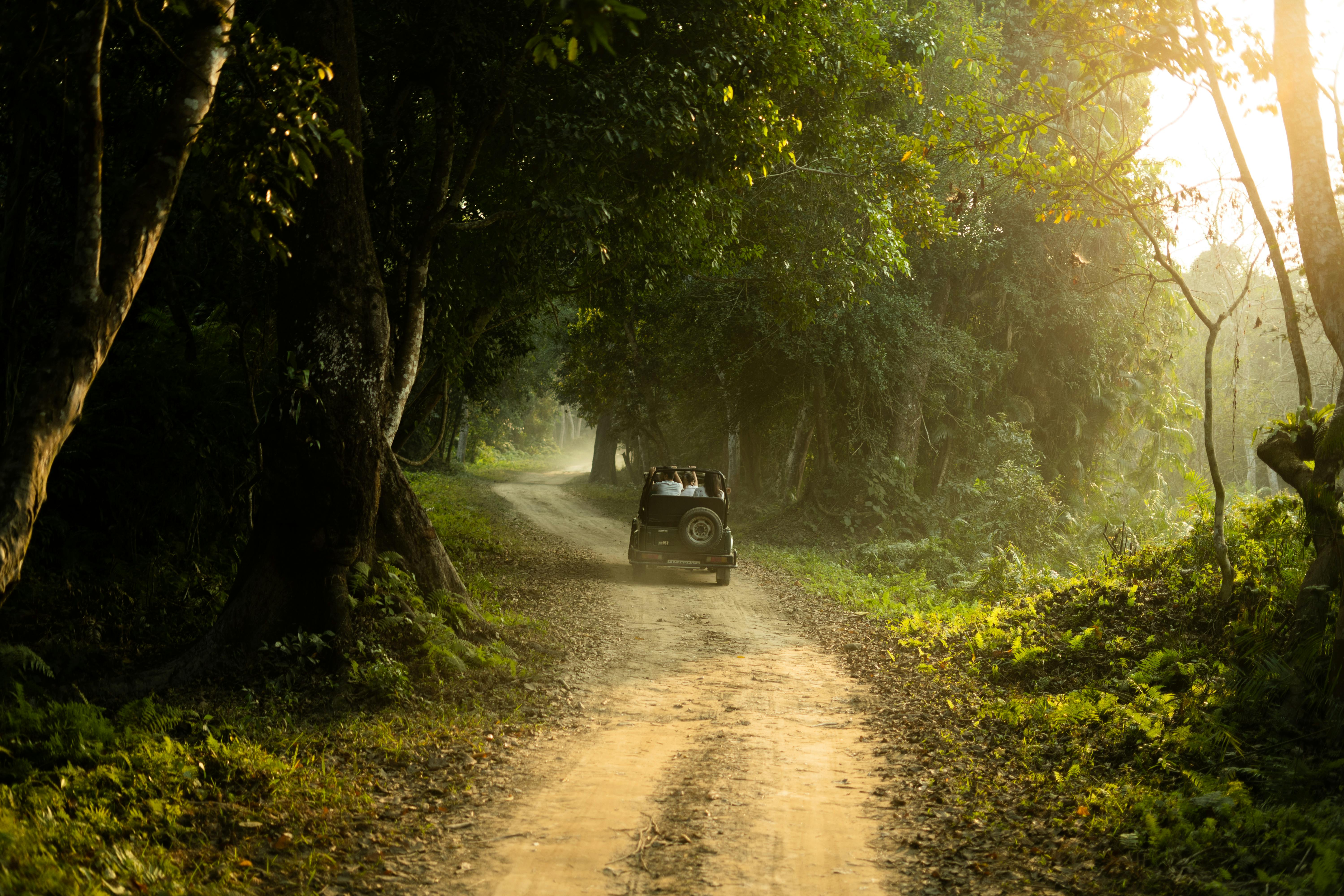 Adventure-Luxury Journeys